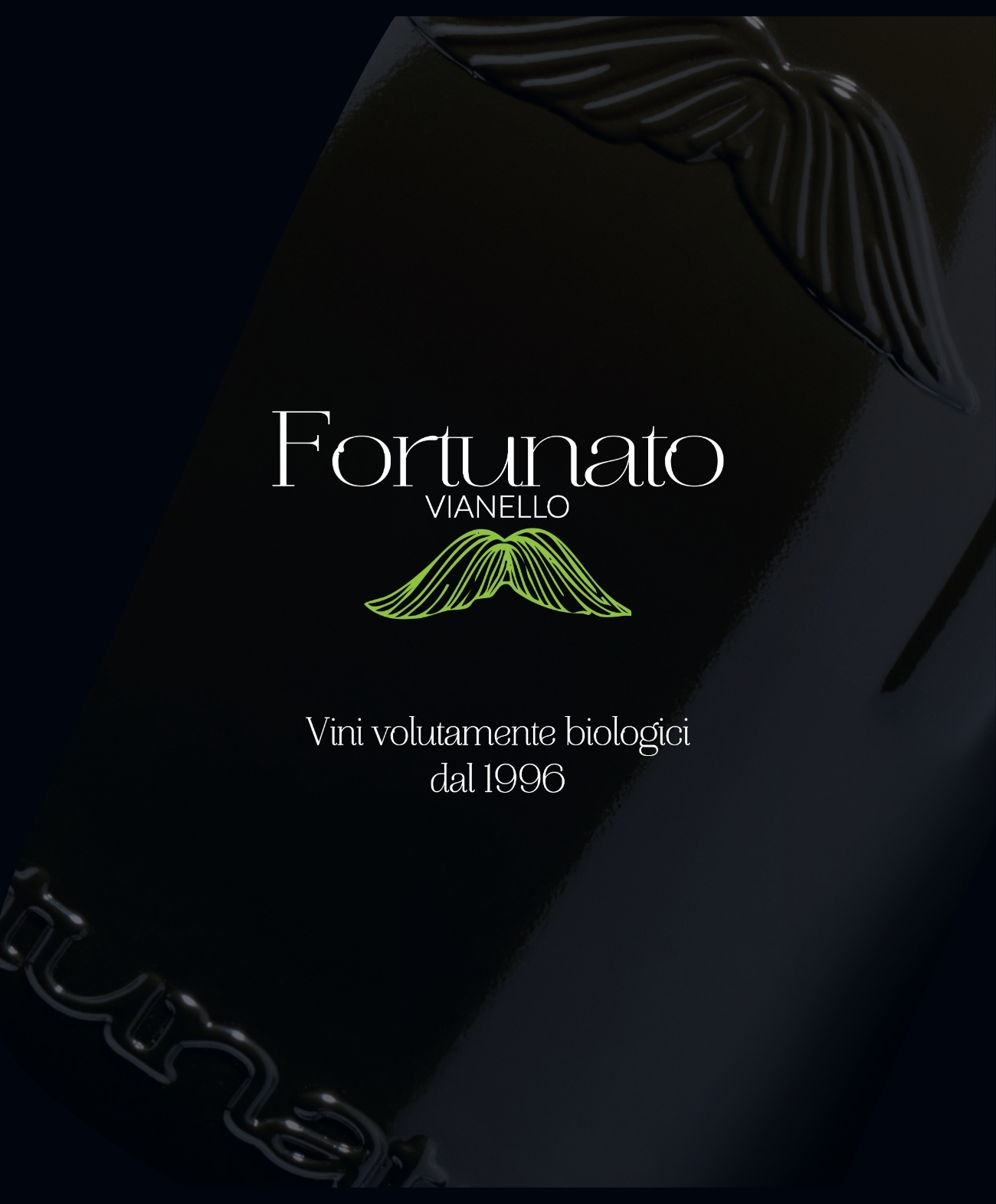 Tecnoflute - immagine 2